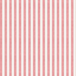Tent Stripe in Strawberry Pink