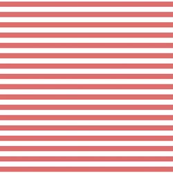 Horizontal Dress Stripe in Poppy