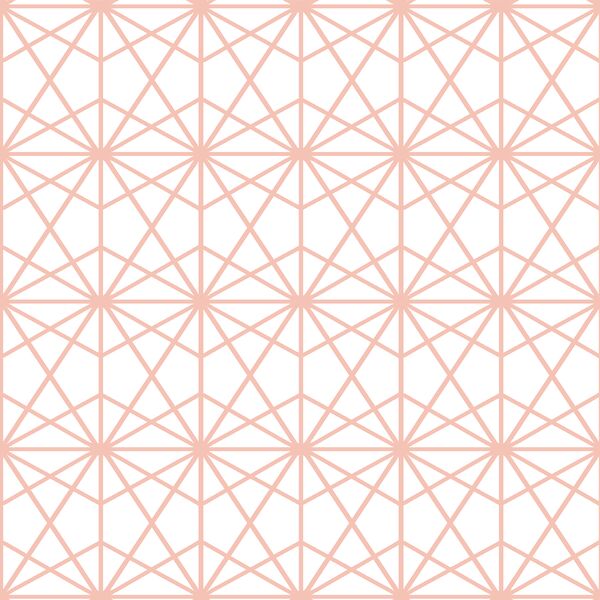 Terrarium in Petal on White