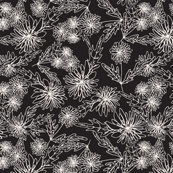 Chrysanthemum Sketch in Coal