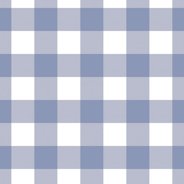 Large Gingham in Light Dutch Blue