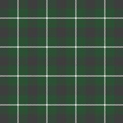 Tartan Plaid in Cedar Green