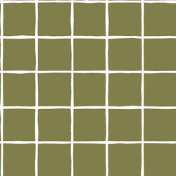 Windowpane in Jungle