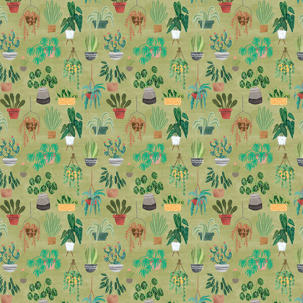 Plants in Olive