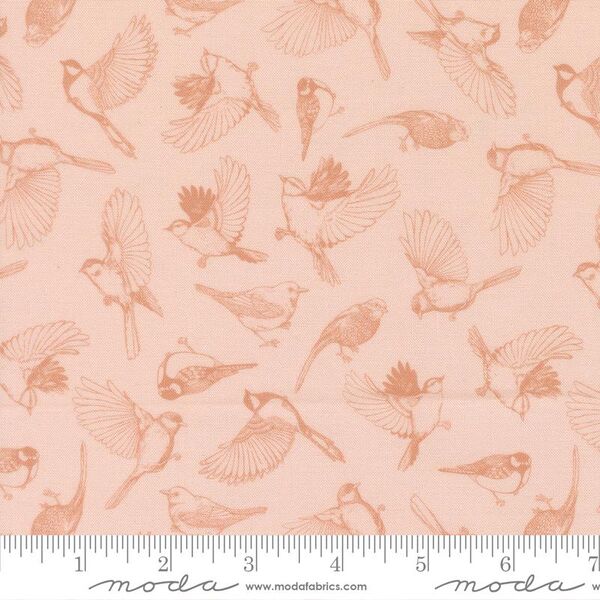 Flock of Feathers in Petal