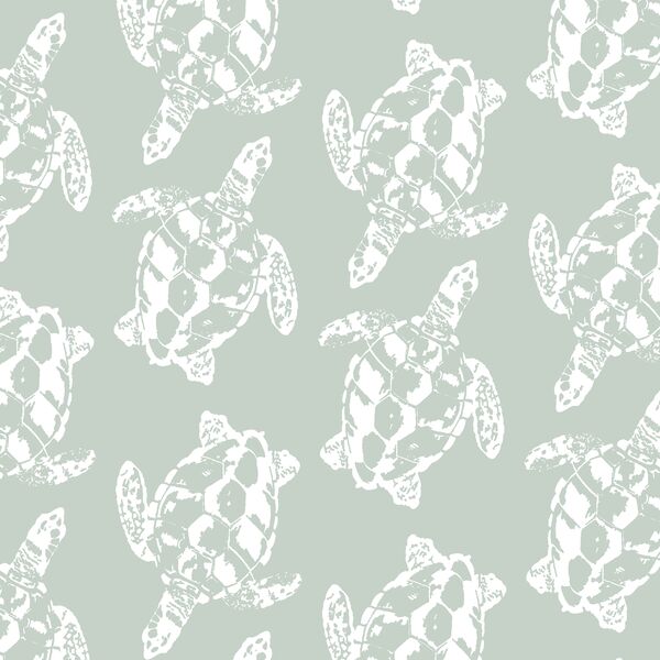 Honu in Sea