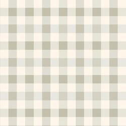 Gingham in Summer Sage