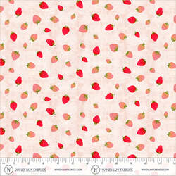 Picking Strawberries in Blush