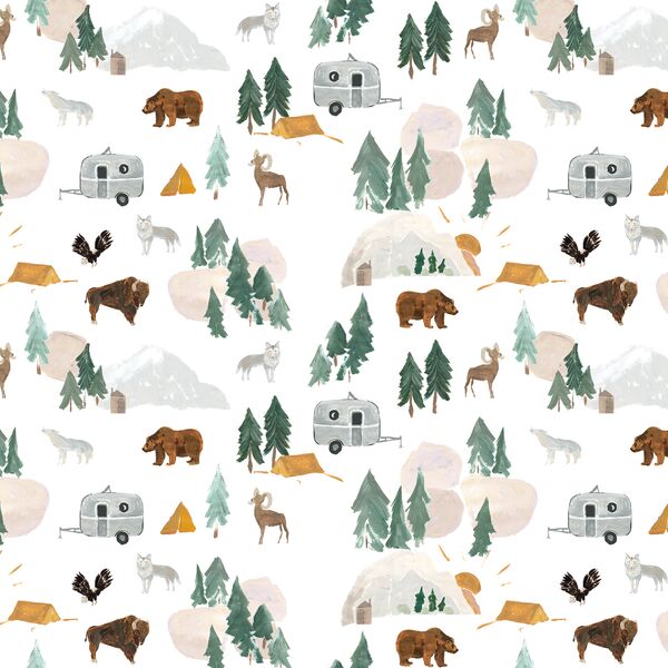 Wild Vacation in Summer