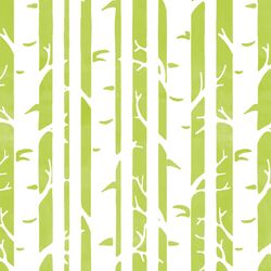 Birches in Lime