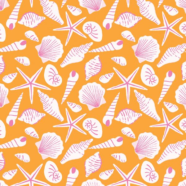 Sea Shells in Summer