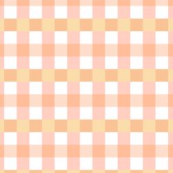 Gingham in Garden Rose