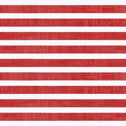 Textured Stripe in Cherry