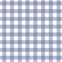 Gingham in Light Dutch Blue