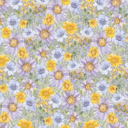 Daisy Garden in Fog