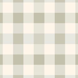 Large Gingham in Summer Sage