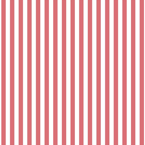 Dress Stripe in Dahlia