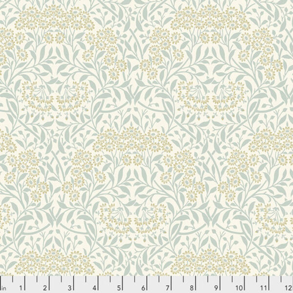 Michaelmas Daisy in Ivory