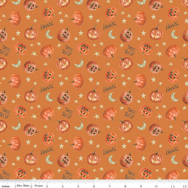 Pumpkins in Orange