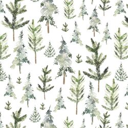 Snowy Forest in Pine