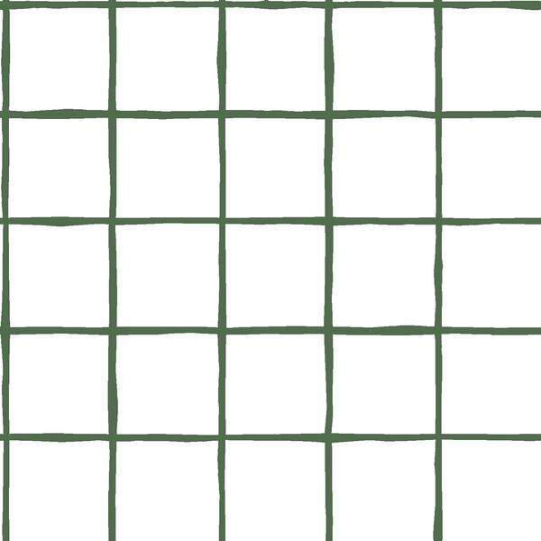 Windowpane in Kale on White