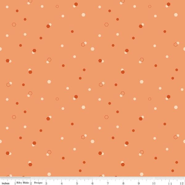 Hexi in Marmalade