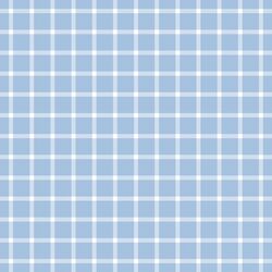 Gingham Check in Blue Sky