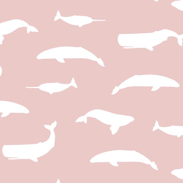 Whale Silhouette in Blush