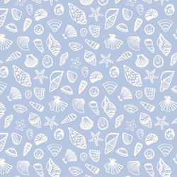 Seashells in Summer Day