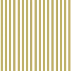 Dress Stripe in Brass