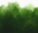 Mystic Ombre in Evergreen