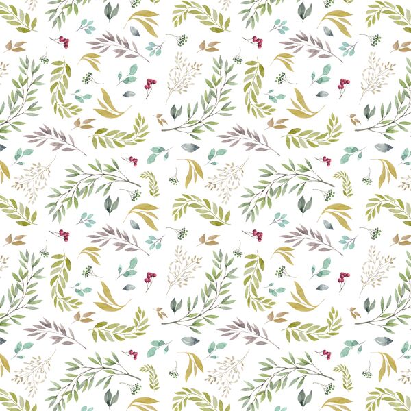 Understory in Woodland