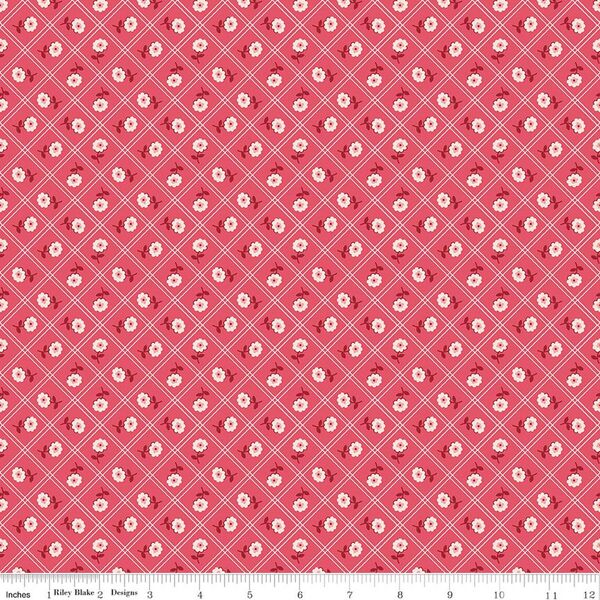 Calico in Tea Rose