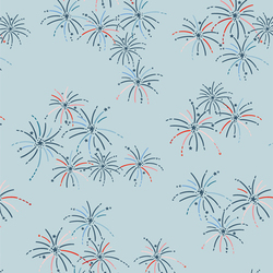 Boom & Bloom in Sky