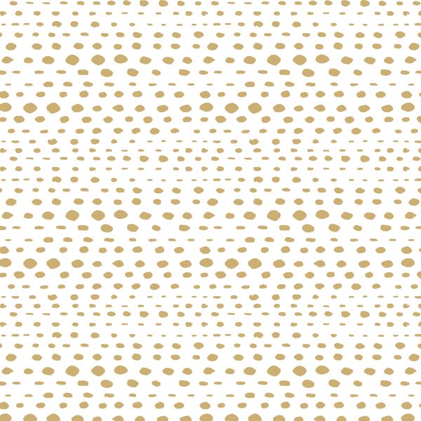 Little Skipping Stones in Golden Canyon on White