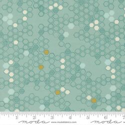Honeycomb in Stream