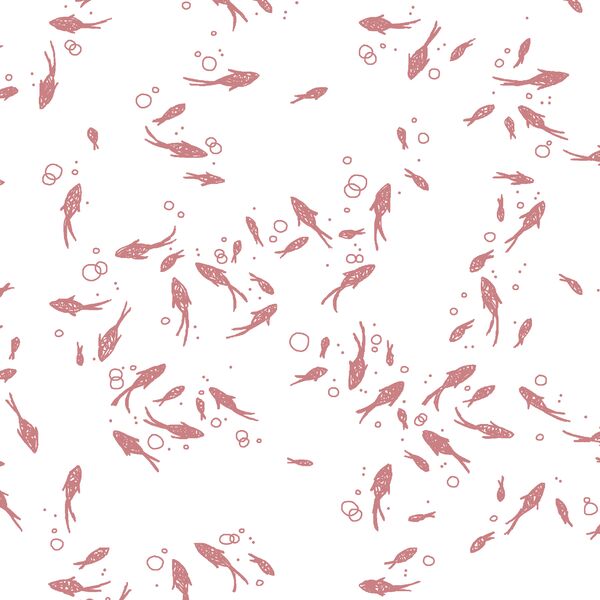 Salmon Run in Berry
