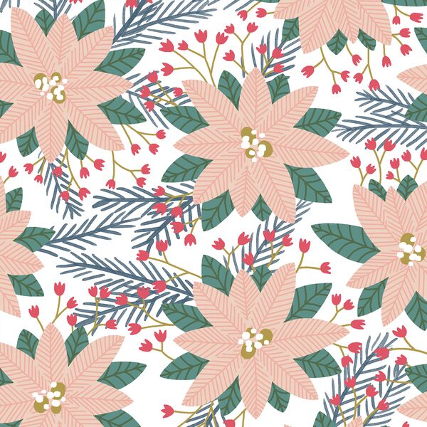 Poinsettias in White