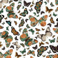 Small Autumn Butterfly in White