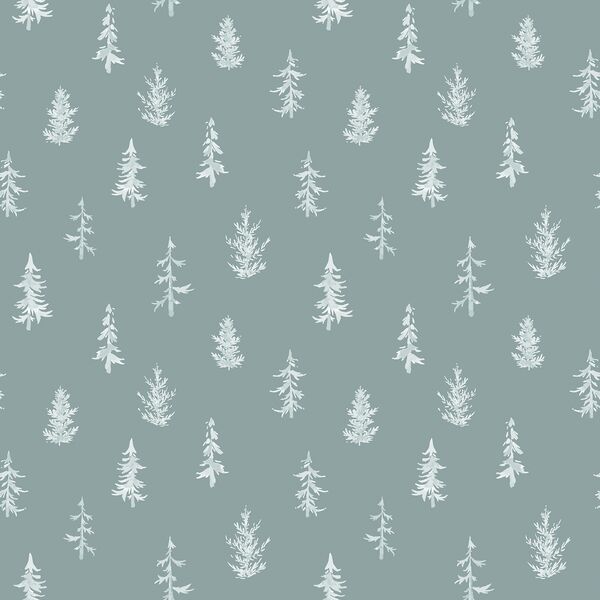 Winter Forest in Spruce