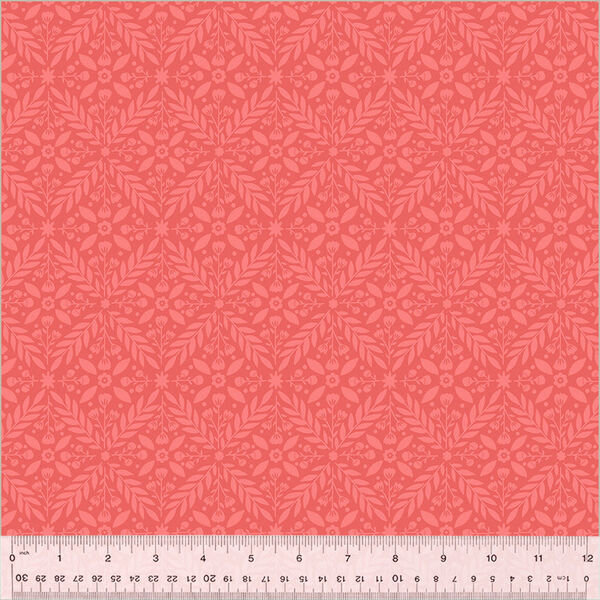 Lattice in Coral