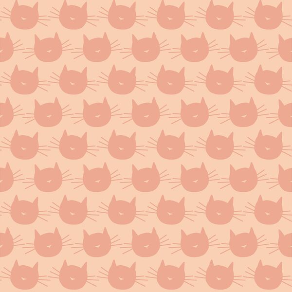 Scaredy Cat in Bubblegum on Light Pink