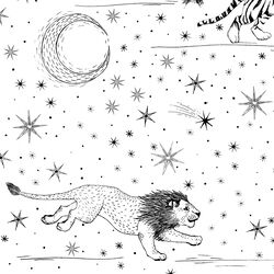 Large Celestial Safari in Night