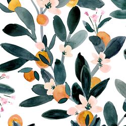 Clementine Blossoms in White