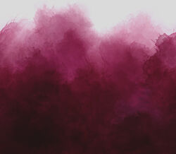 Mystic Ombre in Magenta
