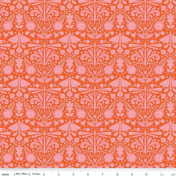 Field Study in Orange