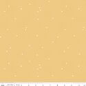 Dainty Daisy in Honey