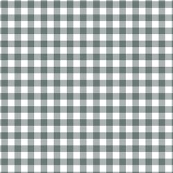 Gingham in Autumn Blue