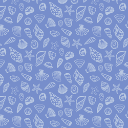 Seashells in Seaside