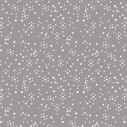 Starry in Silver Moon